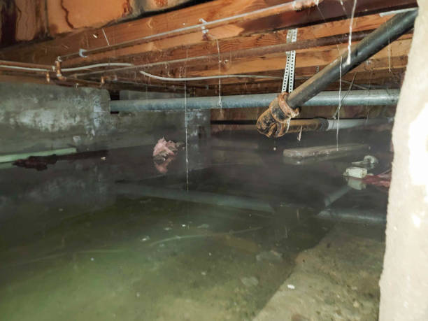 Best Professional water damage repair  in Ahwahnee, CA