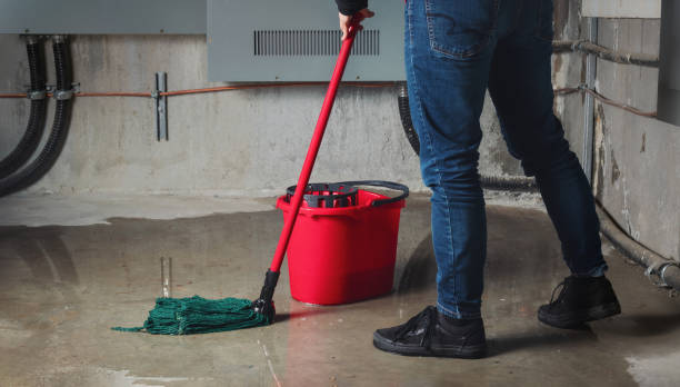Best Local water damage restoration  in Ahwahnee, CA