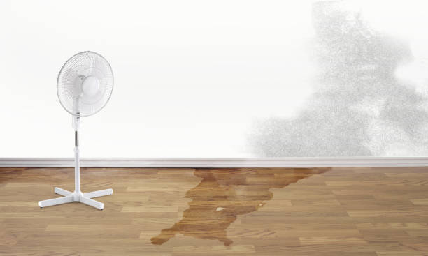 Best 24-hour water damage restoration  in Ahwahnee, CA