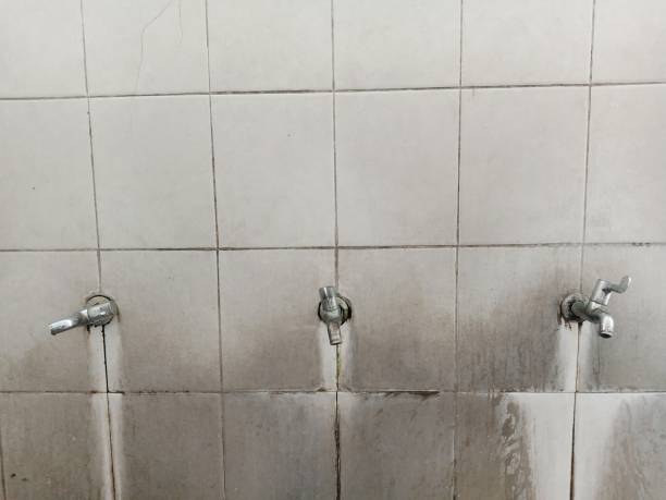 Best Mold removal after water damage  in Ahwahnee, CA